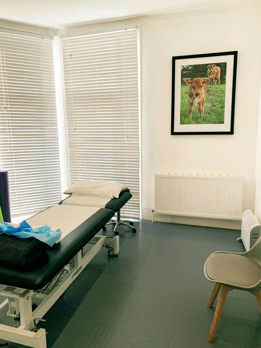 osteopathy acupuncture herbal medicine consultation room