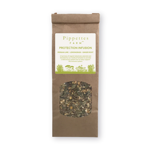 Protection Infusion - Pippettes Teas